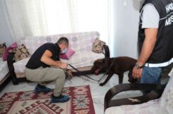 Mersin’deki uyuşturucu operasyonunda gözaltı sayısı 67’ye çıktı