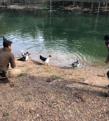 Mersin polisi soğuk kış günlerinde yaban hayvanlarını unutmuyor
